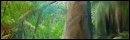 Magic Jungle Escape 2