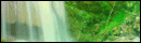 Rainbow Forest Escape